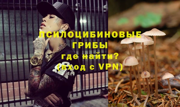 а пвп мука Лиски