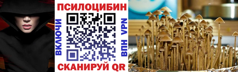 Галлюциногенные грибы Psilocybine cubensis  Нефтекамск 